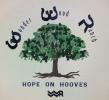 Wonder Wood Logo 