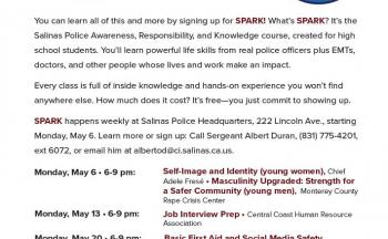 SPARK Flyer 